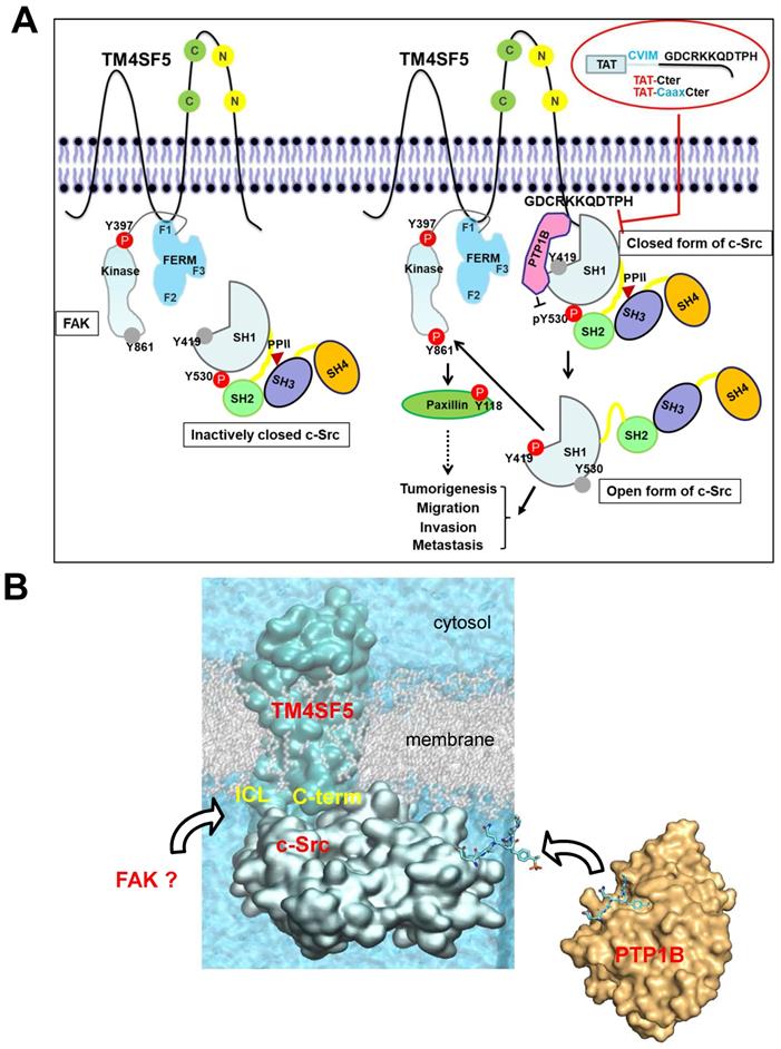 Theranostics Image