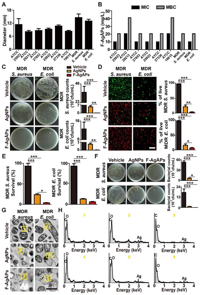 Theranostics Image