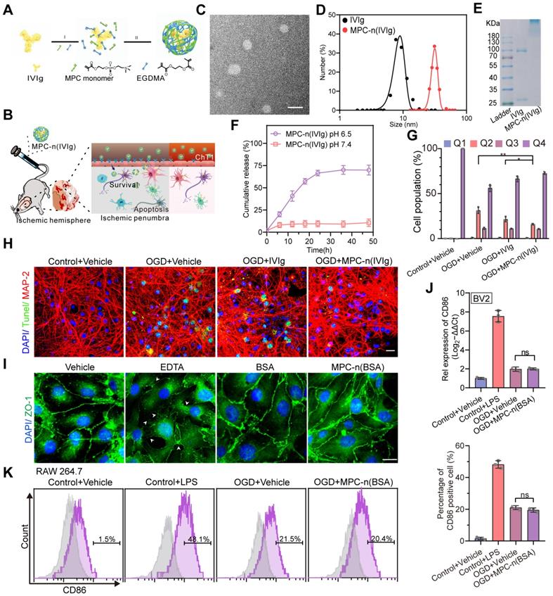 Theranostics Image