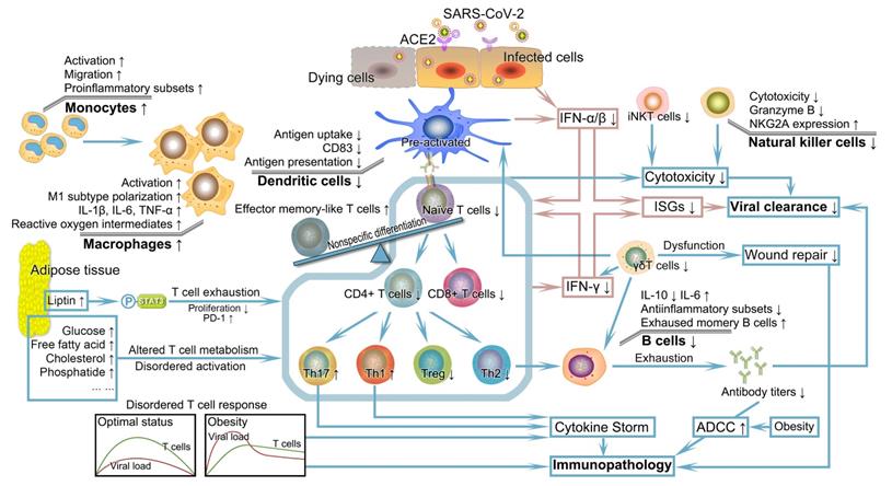 Theranostics Image