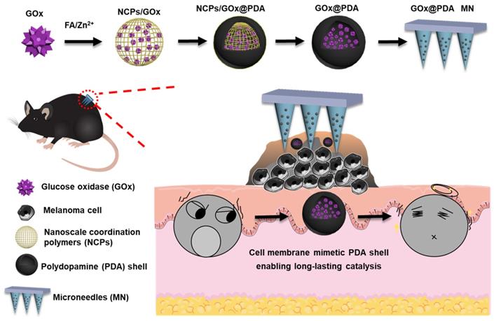 Theranostics Image