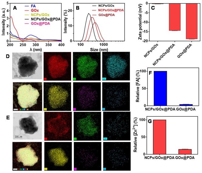 Theranostics Image