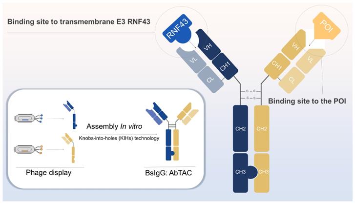 Theranostics Image