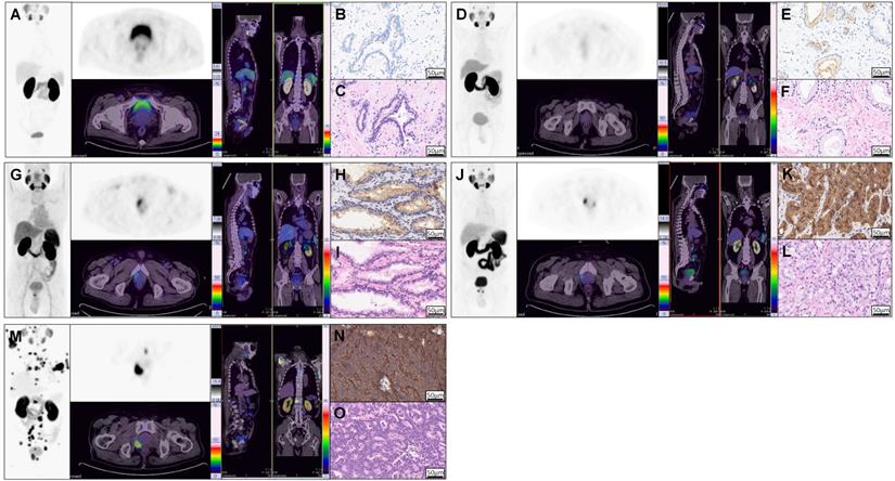 Theranostics Image