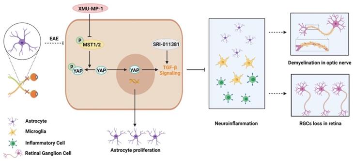 Theranostics Image