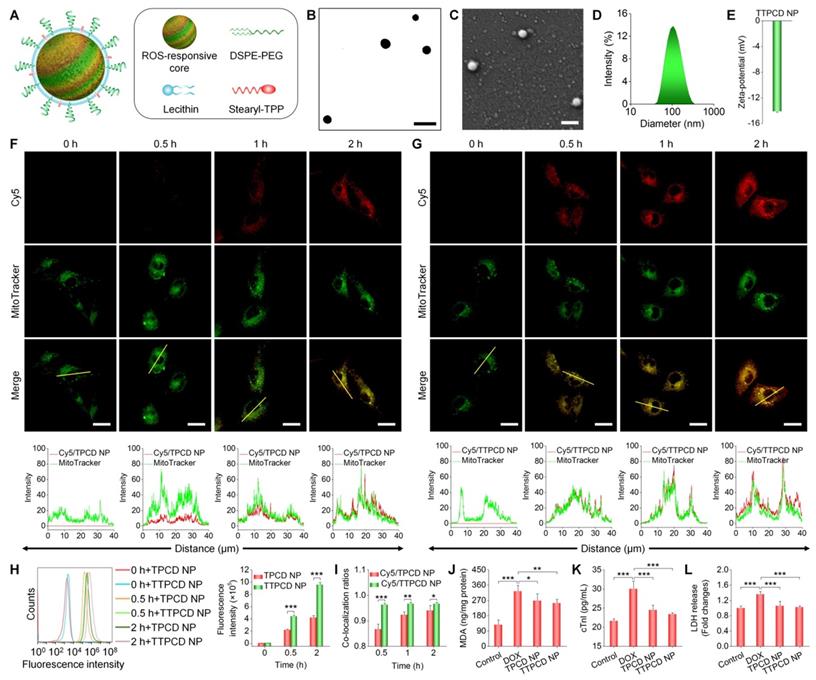 Theranostics Image