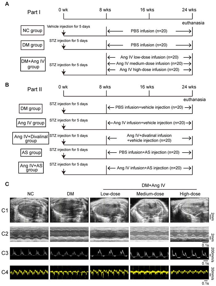 Theranostics Image