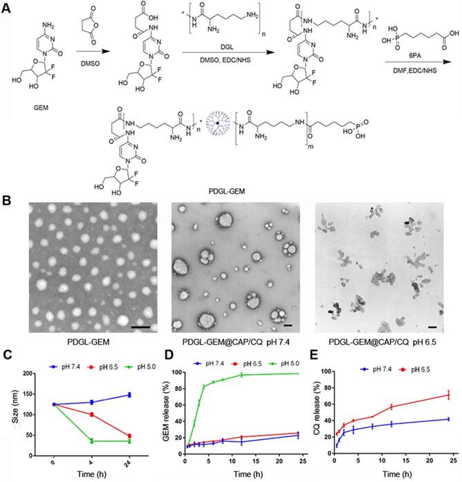 Theranostics Image