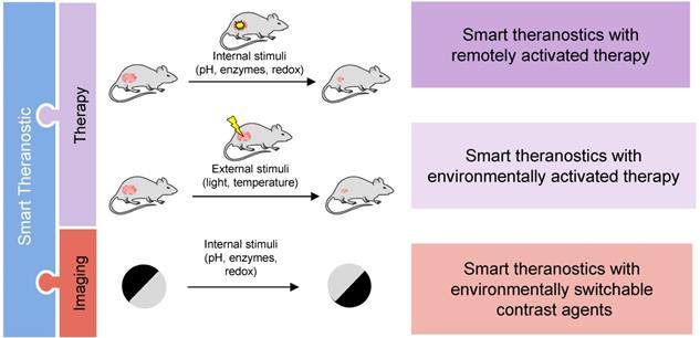 Theranostics Image