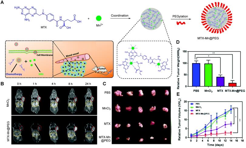 Theranostics Image