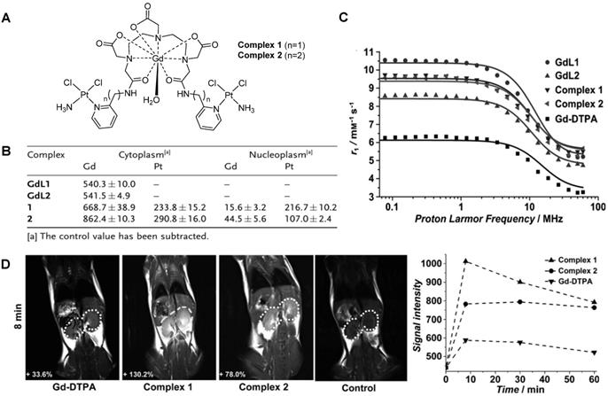 Theranostics Image