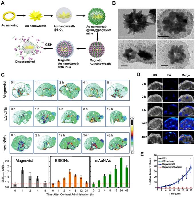 Theranostics Image