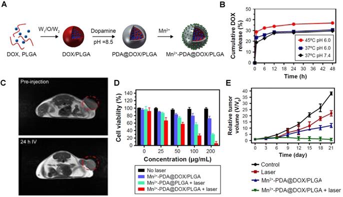 Theranostics Image