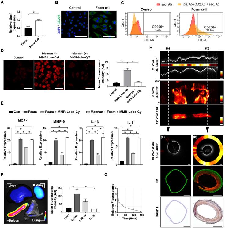 Theranostics Image