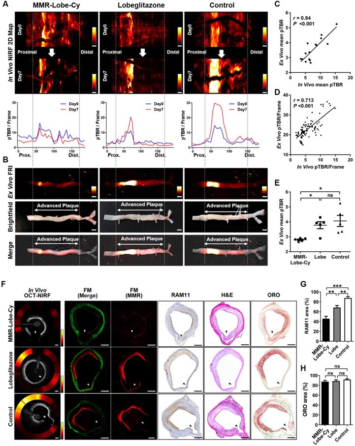 Theranostics Image