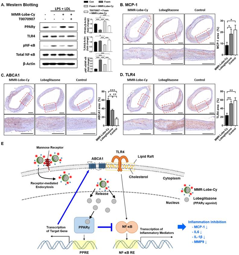 Theranostics Image