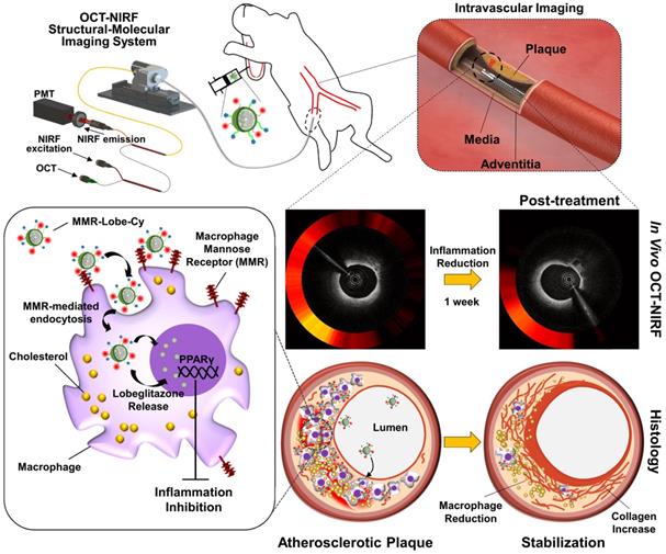 Theranostics Image