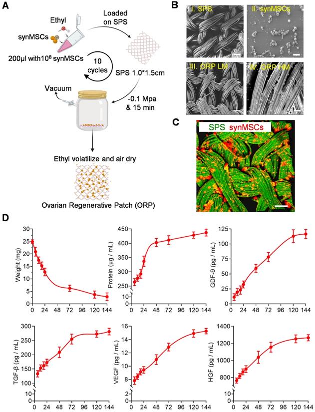 Theranostics Image