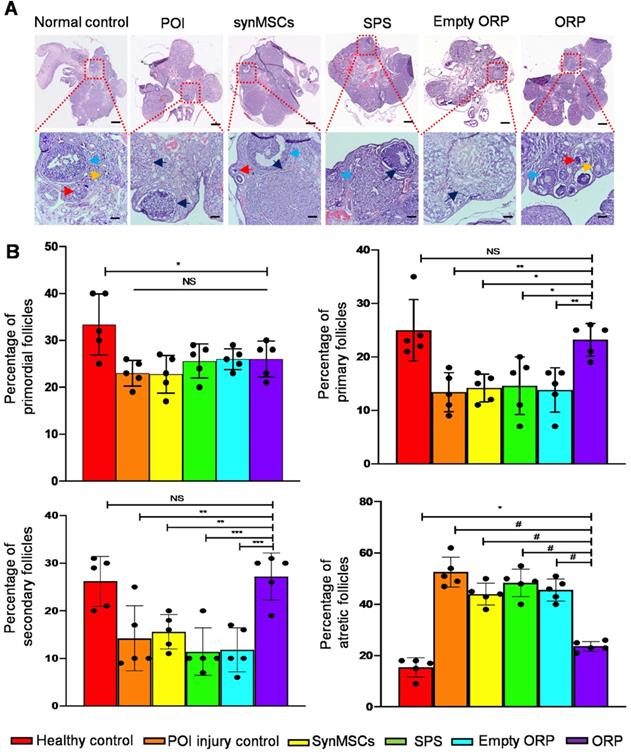 Theranostics Image