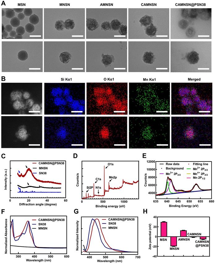 Theranostics Image