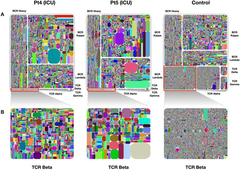 Theranostics Image