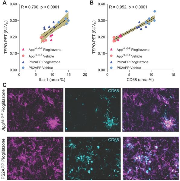 Theranostics Image