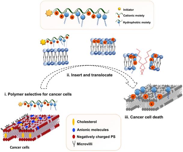 Theranostics Image