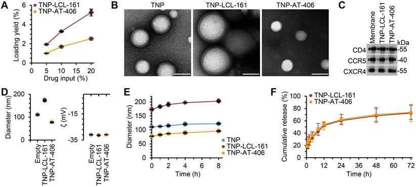 Theranostics Image