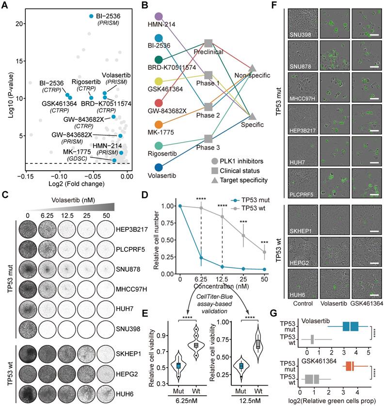 Theranostics Image