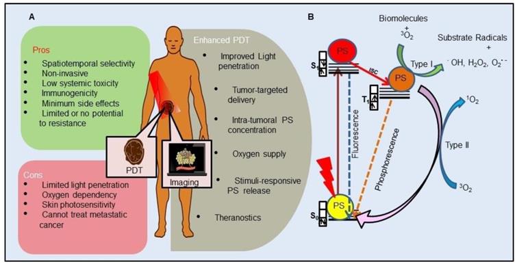 Theranostics Image