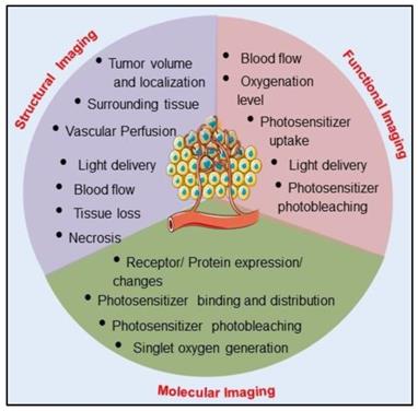 Theranostics Image