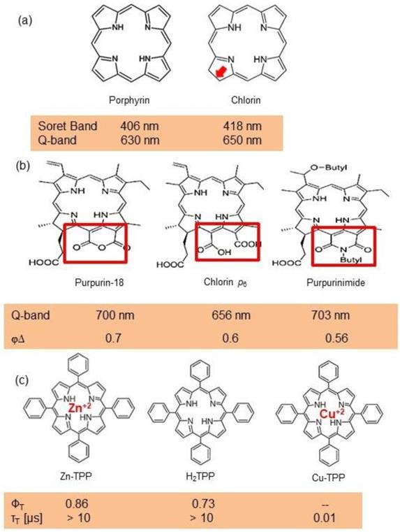 Theranostics Image