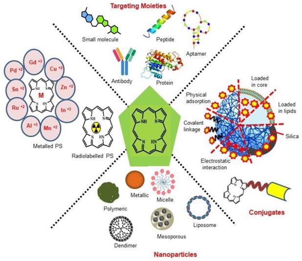 Theranostics Image