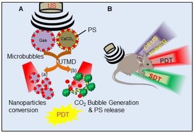 Theranostics Image