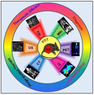 Theranostics Image