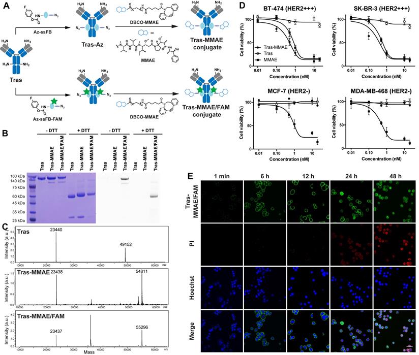 Theranostics Image