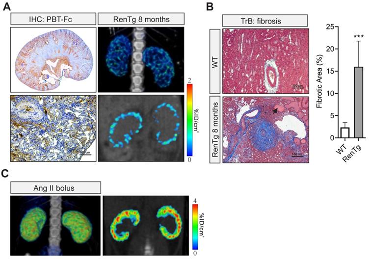 Theranostics Image