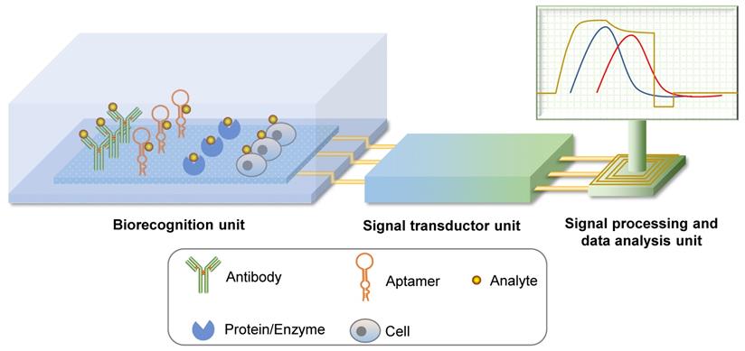 Theranostics Image