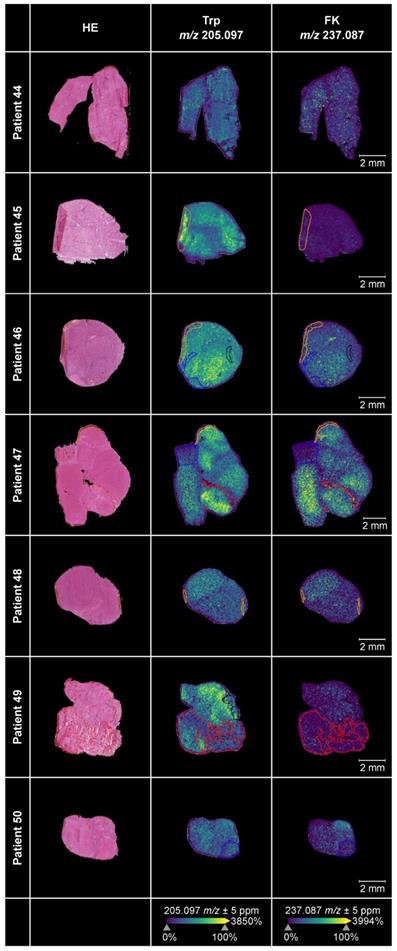 Theranostics Image