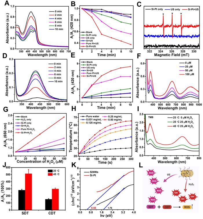 Theranostics Image