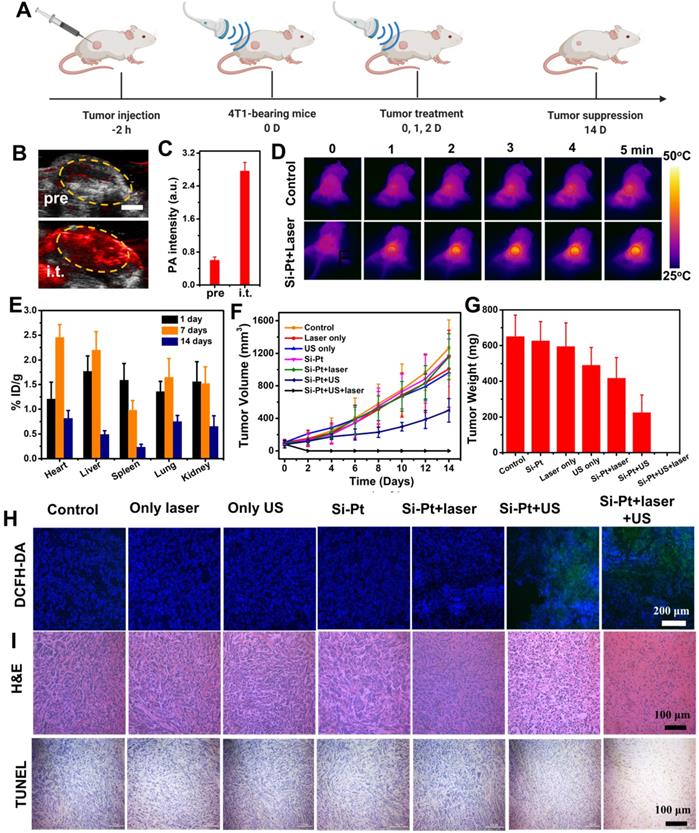 Theranostics Image