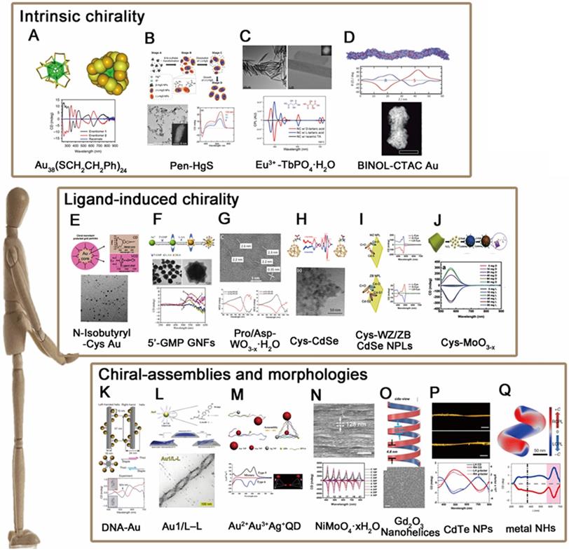 Theranostics Image