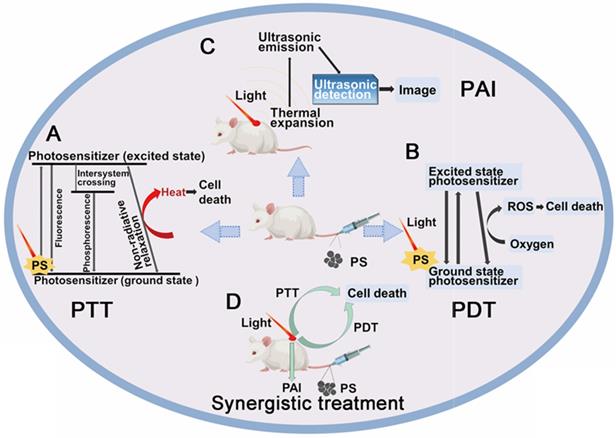 Theranostics Image