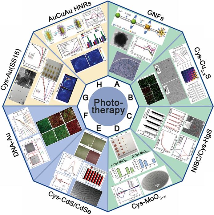 Theranostics Image