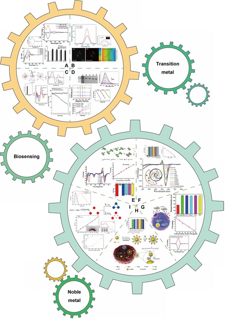 Theranostics Image