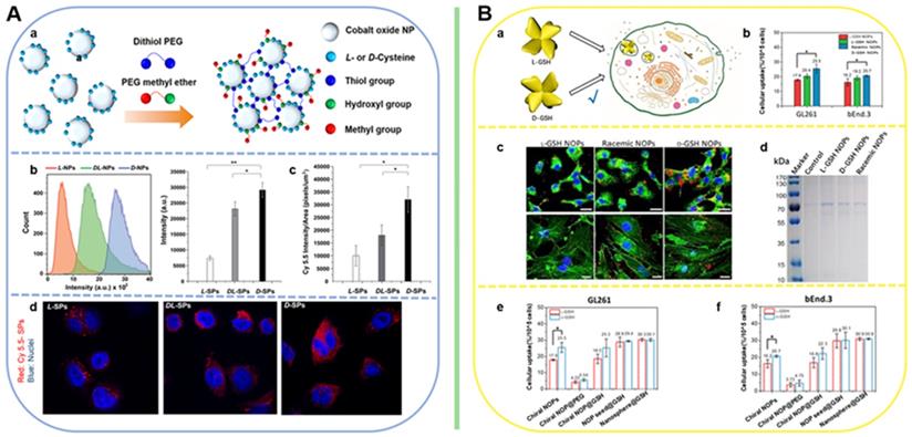 Theranostics Image