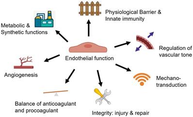 Theranostics Image