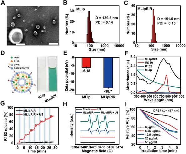 Theranostics Image