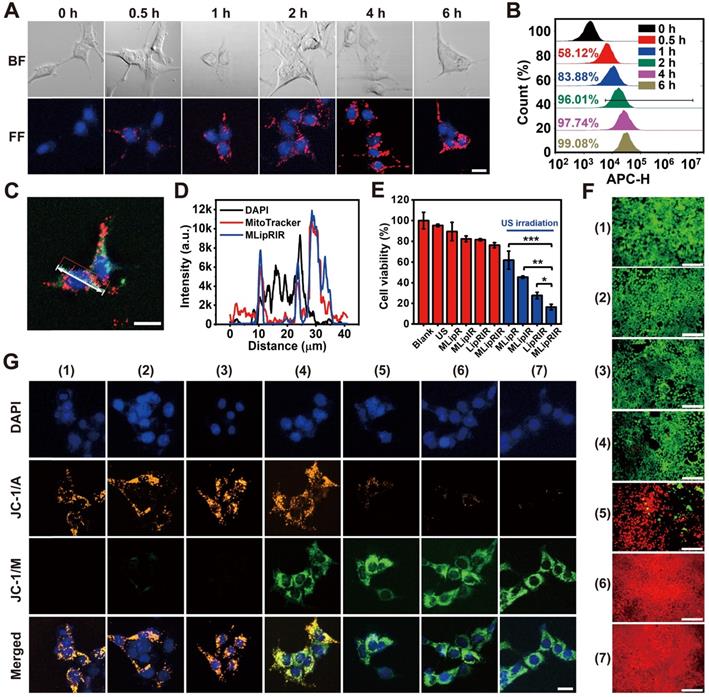 Theranostics Image