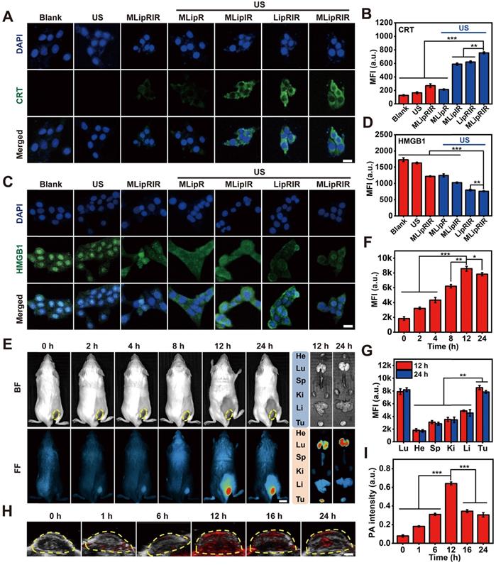 Theranostics Image